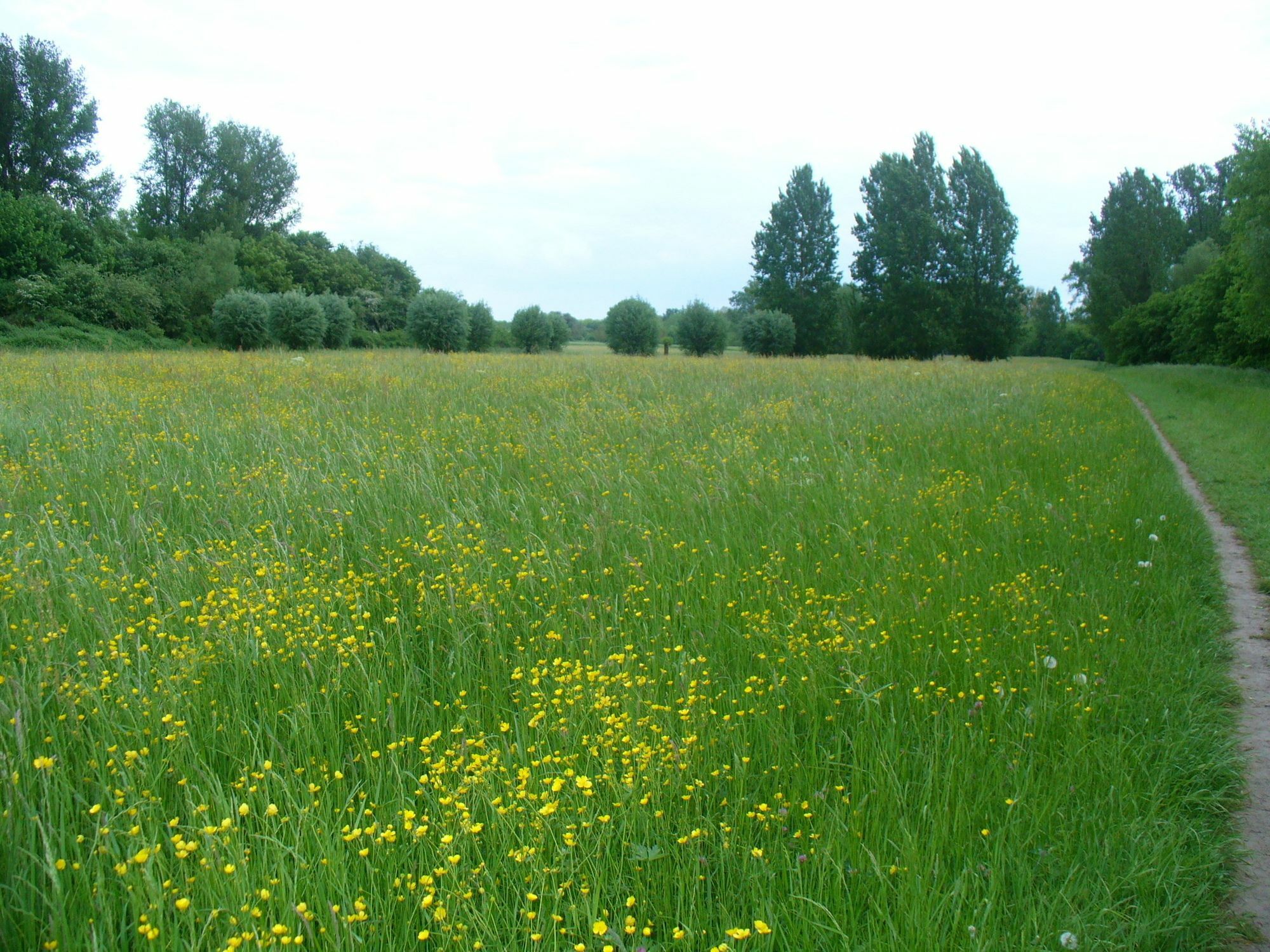 Ferienwohnung Rheinaue Cologne Luaran gambar